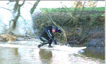 Severn Bore 3 - Mind that tree!