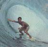 Surfer 33k